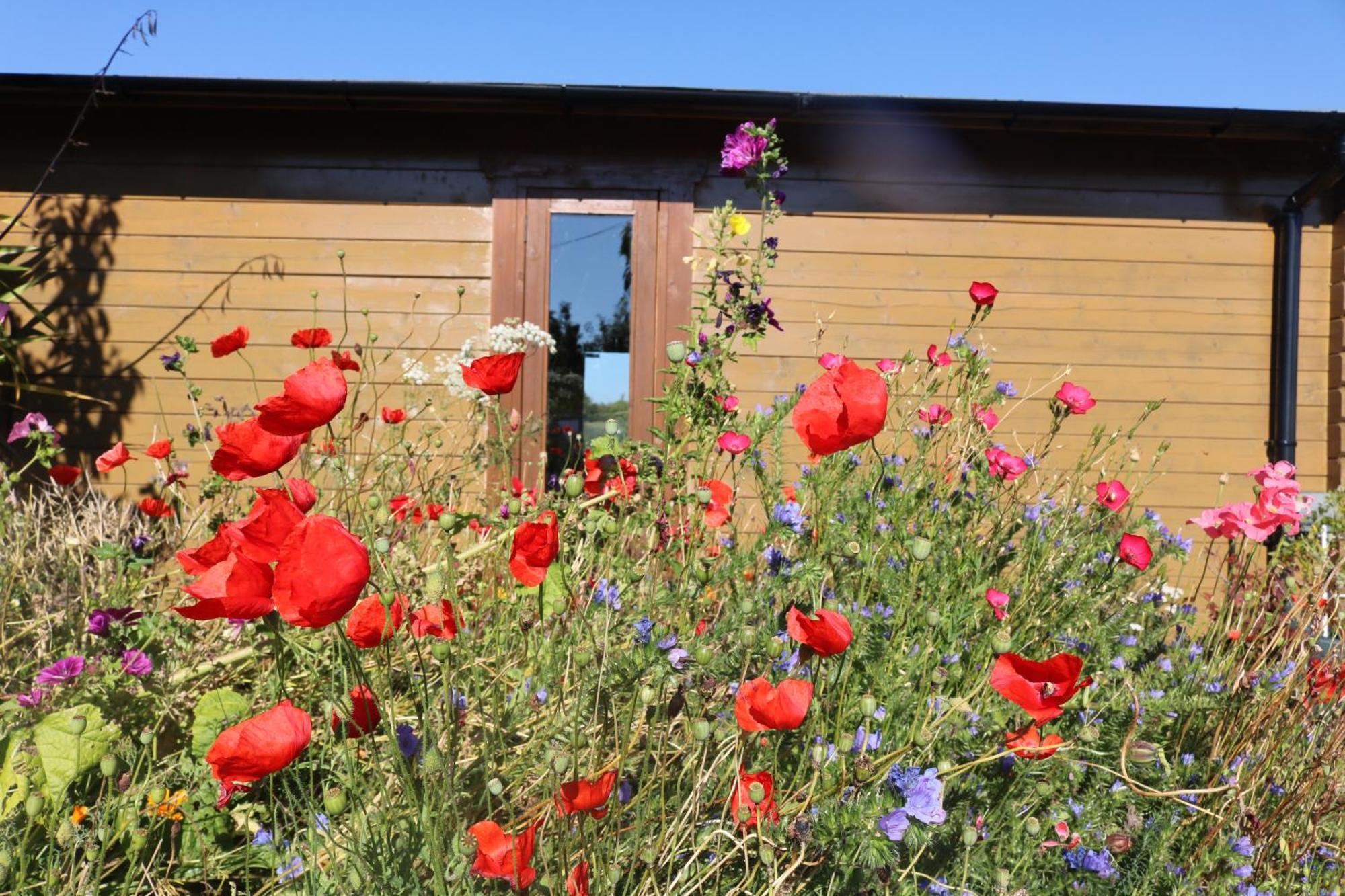 The Cabin Pipershill Newtownbutler Zewnętrze zdjęcie